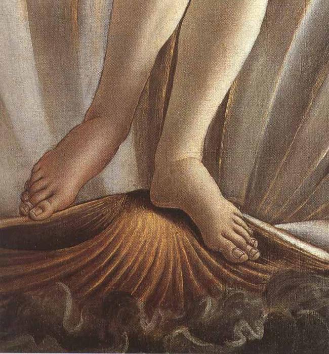 Sandro Botticelli The Birth of Venus (mk36) France oil painting art